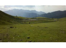 Trekking the Curzon's Trail and the Kuari Pass
