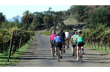 6 Days Exploring the Napa Valley by Bike