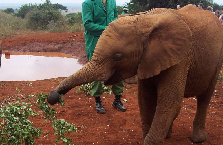 Grand Safari - 15 Day Tour