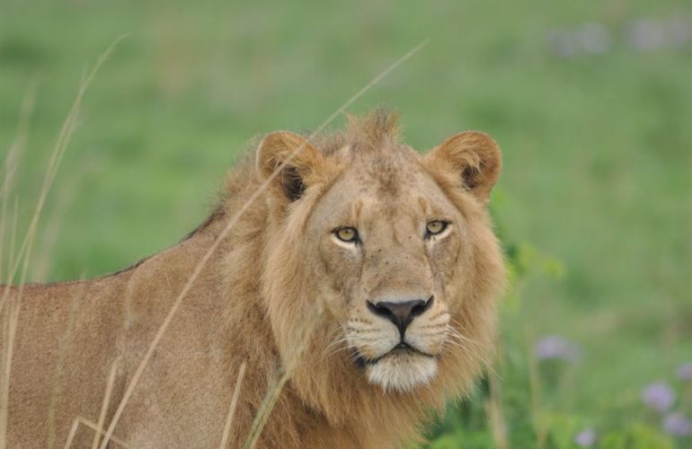 African Culture And Wildlife Viewing on Addis to Zanzibar Adventure