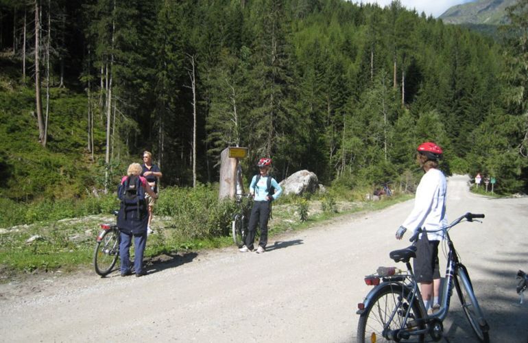 8 Days Exploring Passau to Vienna - Danube Cycle(Self guided)