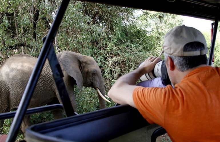 Serengeti: The Ultimate Safari Experience