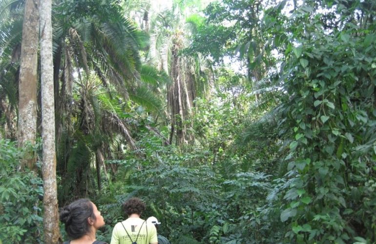 32-Day Wildlife & Cultural Experience in Rwanda, Uganda, Kenya & Tanzania