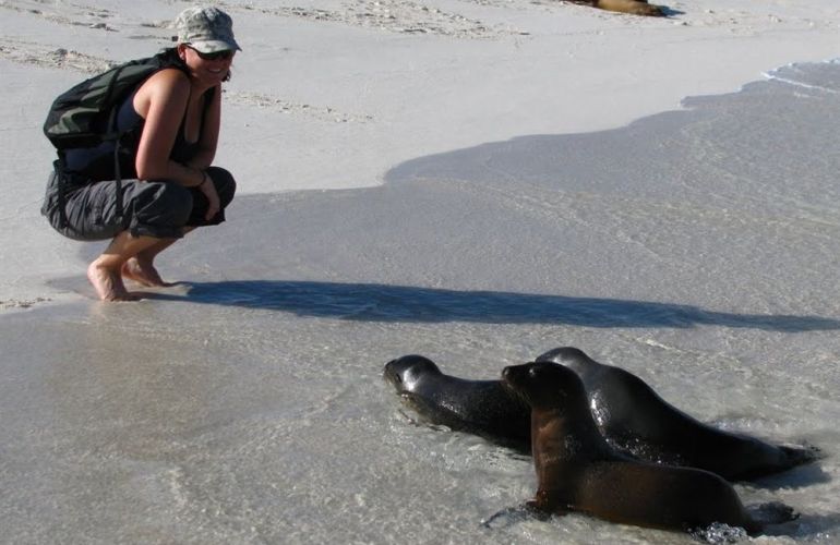 Ecuador's Galapagos Islands (Ecological wonderlands of the Galapagos Islands) - Tour Length: 8 Days