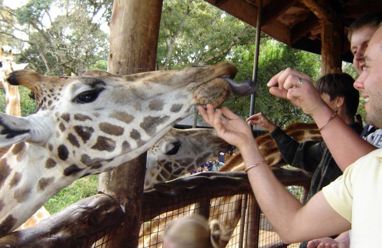 Tanzanian Culture and Wildlife Adventure
