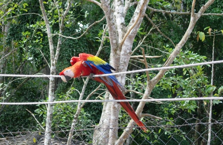 12-Day Cultural & Walking Adventure in Guatemala