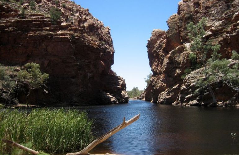 Central Australia Outback Odyssey Through the Northern Territory