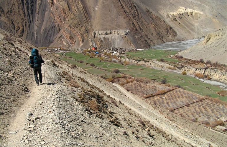 The Kingdom of Mustang 