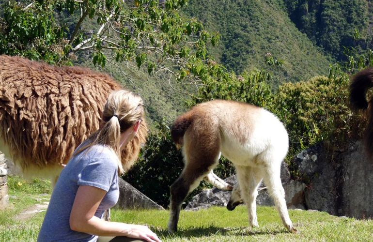 In The Shadow Of Machu Picchu: 10-Day Trekking & Cultural Adventure