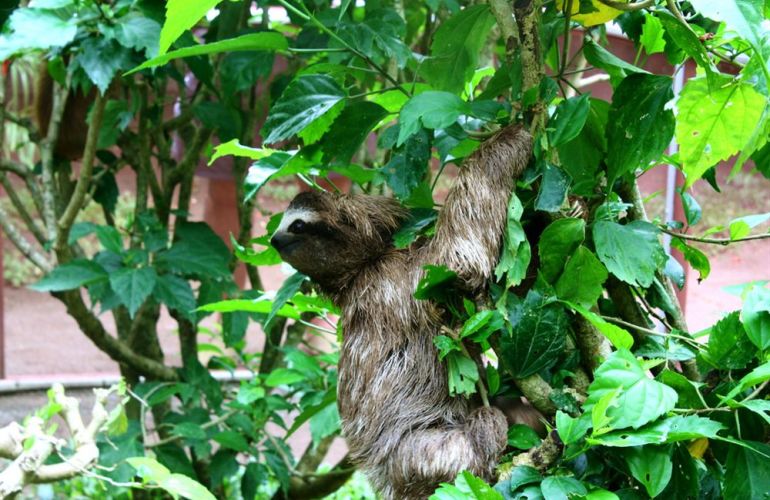 Classic Costa Rica Adventure in 9 Days