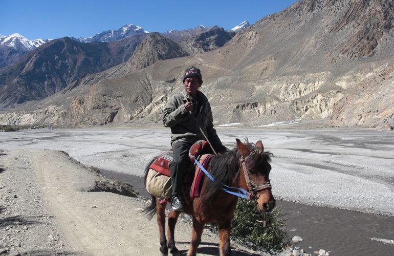 The Kingdom of Mustang 