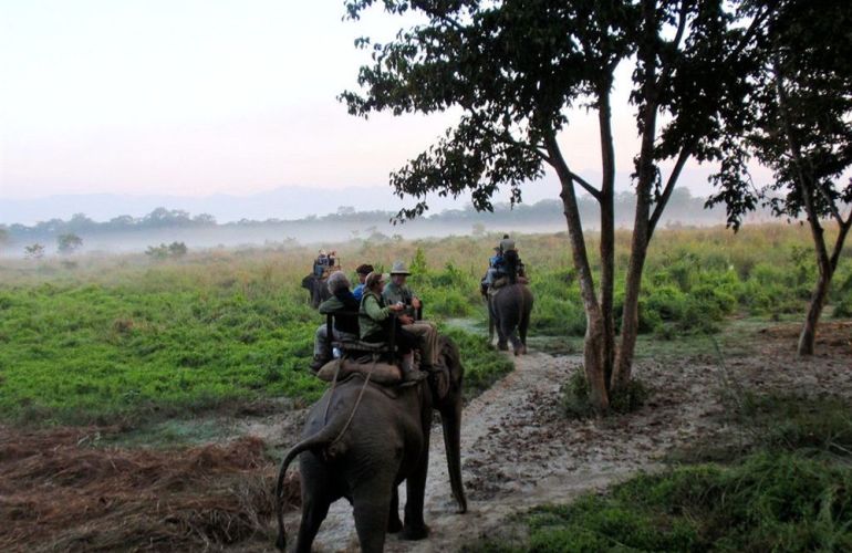 Visit India and Nepal on an Adventure from Delhi to Kathmandu