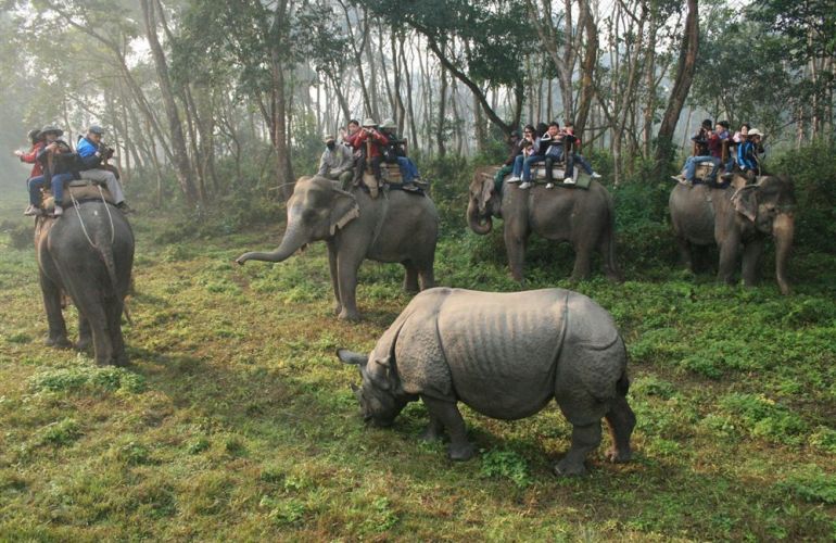 Annapurna Mountains & Wildlife