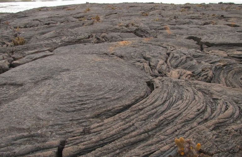 Ecuador's Galapagos Islands (Ecological wonderlands of the Galapagos Islands) - Tour Length: 8 Days