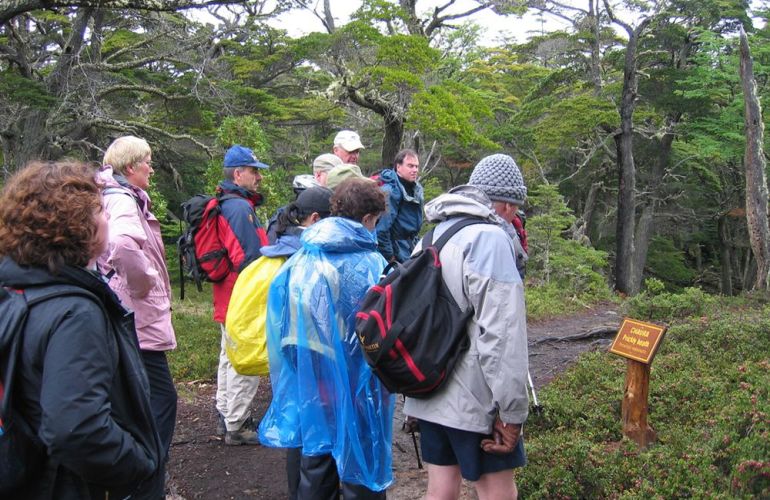 The Patagonia: The Mountain Splendor of Paine and Fitzroy and the Whales of Peninsula Valdés