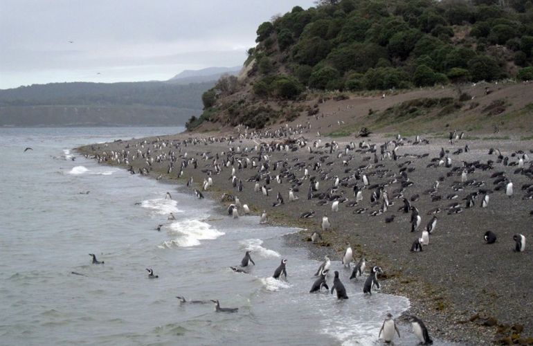 Learn the History of Brazil, Argentina & Chile in this 27-day Cultural Adventure