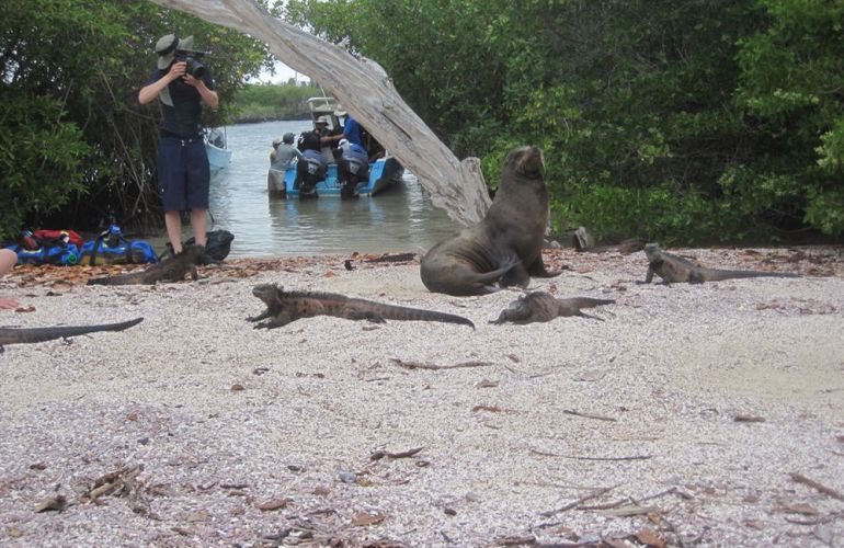 Ecuador's Galapagos Islands (Ecological wonderlands of the Galapagos Islands) - Tour Length: 8 Days