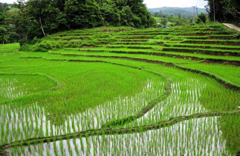 Roam Southeast Asia: 16 Days Trek Through Thailand