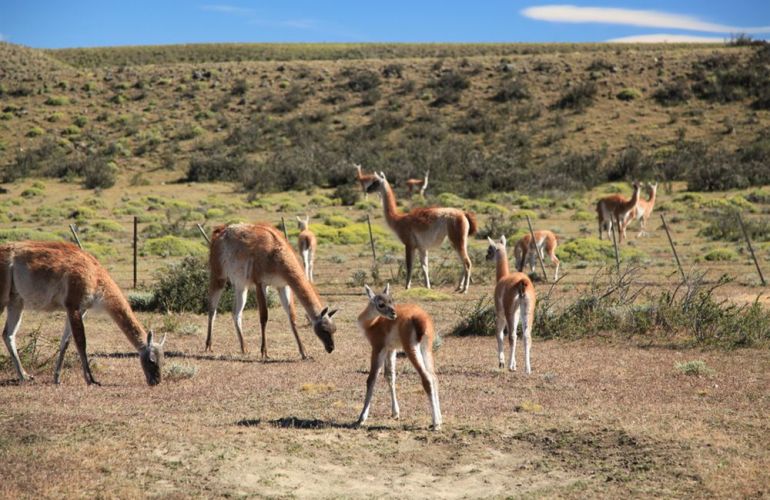 End Of The Earth: 15-Day Trekking Adventure in Chile & Argentina 