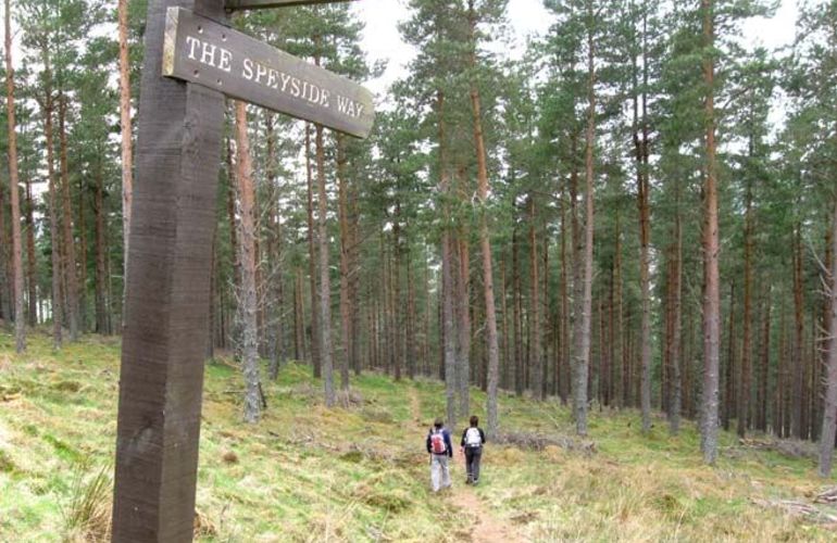 Self-Guided Walking: The Speyside Way