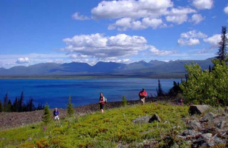 Alaska & Yukon Northern Experience