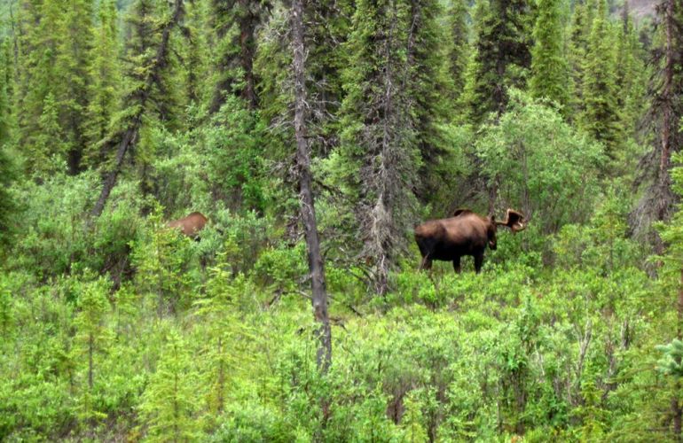 Alaska Family | Kenai Peninsula