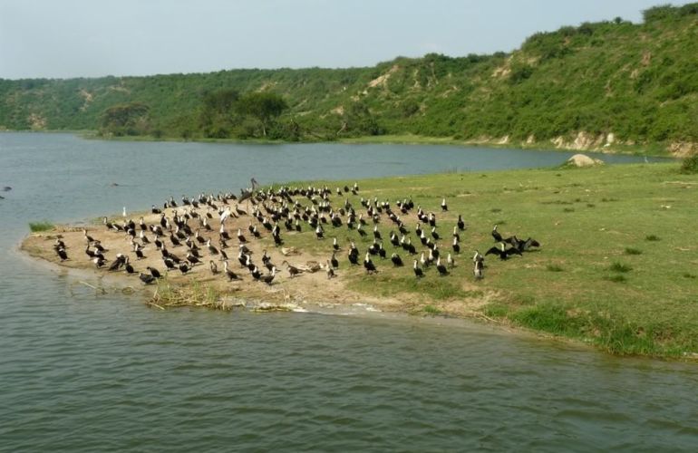 32-Day Wildlife & Cultural Experience in Rwanda, Uganda, Kenya & Tanzania