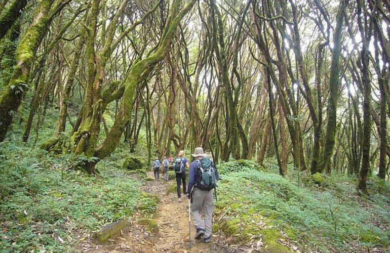 Annapurna Community Lodge Trek