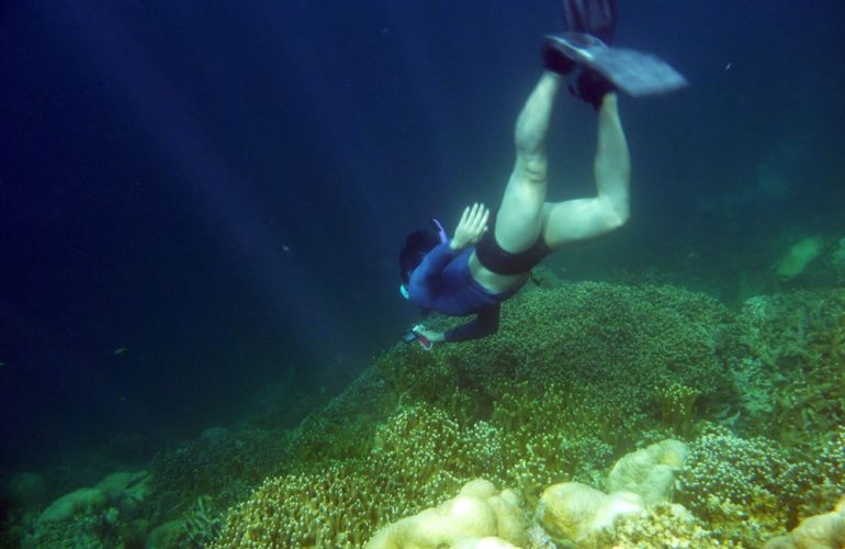 Palau Snorkeling and Sea Kayaking: Experience the Natural History Paradise of the Rock Islands