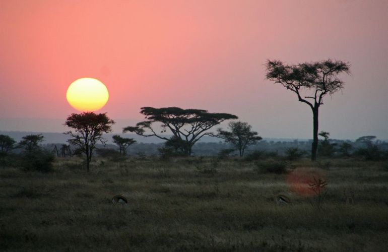 Tanzanian Culture and Wildlife Adventure