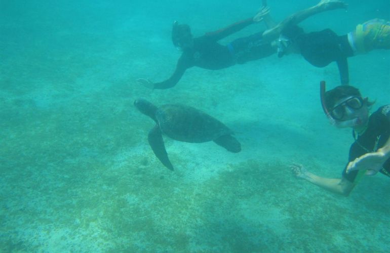 Comfort Galapagos - 6 Days G4 Cruise & Wildlife Adventure in North Islands