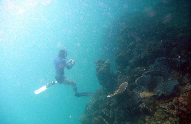 Palau Snorkeling and Sea Kayaking: Experience the Natural History Paradise of the Rock Islands