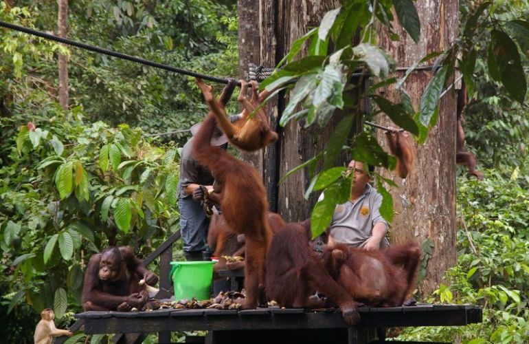 The Far East Tour: Explore the Five Countries in Asia for 20 Days