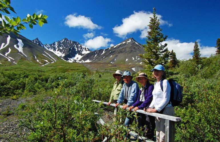 Alaska & Yukon Northern Experience