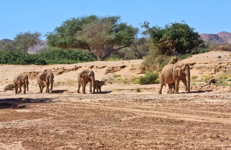 Splendors of Southern Africa - Namibia, Botswana and Zimbabwe