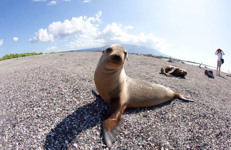 Galápagos Islands Sailing and Multi-Sport Adventure