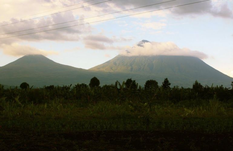 12 Day - Classic Uganda and Rwanda