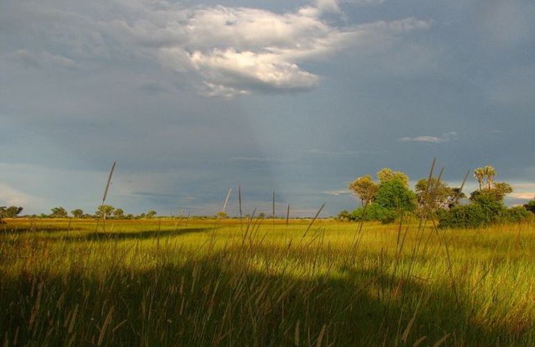 Explore the Landscapes and Wildlife of Botswana Elephant Trail