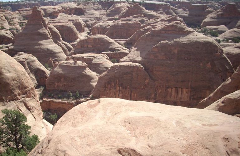 Moab Biking/Westwater Rafting