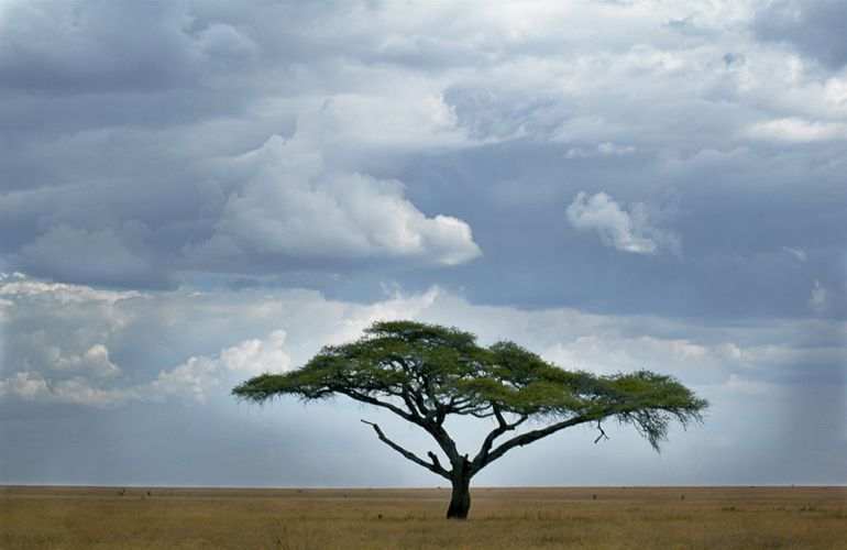 Essence of Tanzania