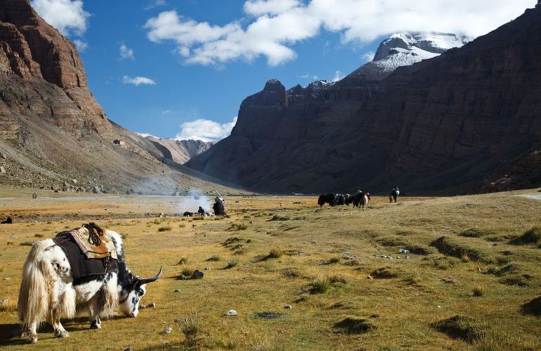 Tibet - Mountains and Monasteries on Top of the World
