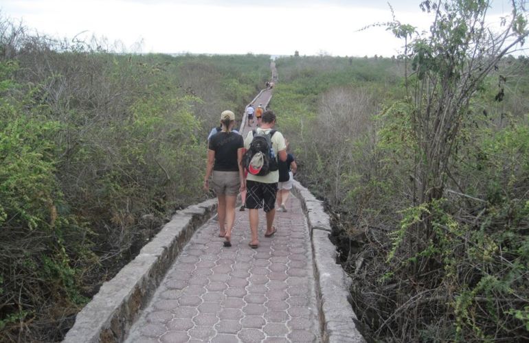 Ecuador's Galapagos Islands (Ecological wonderlands of the Galapagos Islands) - Tour Length: 8 Days