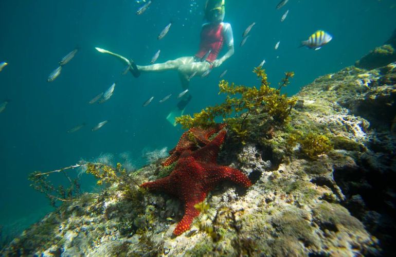 Galápagos Islands Sailing and Multi-Sport Adventure
