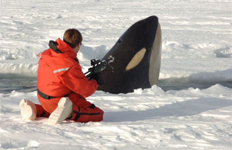 Alaska's Kenai Peninsula Adventure