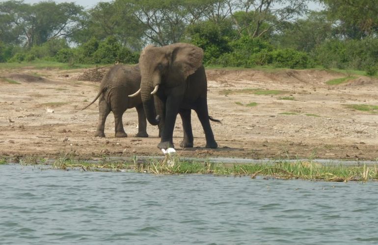 32-Day Wildlife & Cultural Experience in Rwanda, Uganda, Kenya & Tanzania