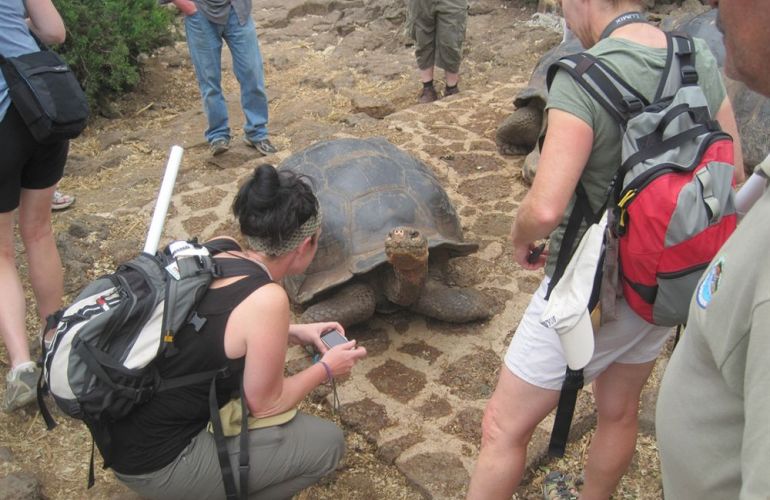 Ecuador's Galapagos Islands (Ecological wonderlands of the Galapagos Islands) - Tour Length: 8 Days
