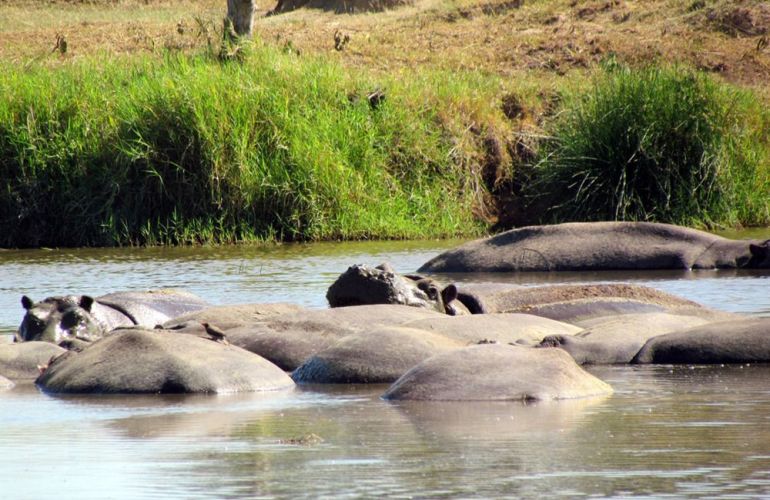 Grand Adventurer (75 Days) Nairobi to Cape Town