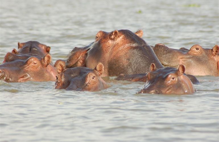 African Culture And Wildlife Viewing on Addis to Zanzibar Adventure