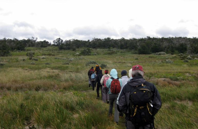 The Patagonia: The Mountain Splendor of Paine and Fitzroy and the Whales of Peninsula Valdés