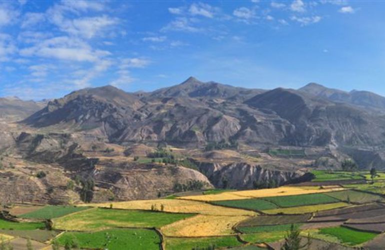 Essential Peru